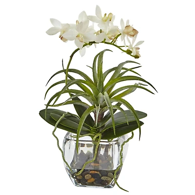13" White Orchid & Succulent Mixed Arrangement with Glass Vase