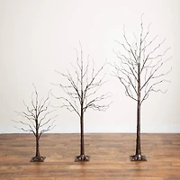 3ft. 5ft. 6ft. Artificial Brown Birch Trees with Warm White LED Lights - Set of 3
