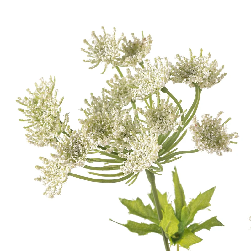 12 Pack: White Queen Anne's Lace Spray by Ashland®