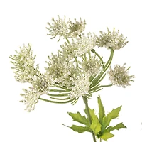 12 Pack: White Queen Anne's Lace Spray by Ashland®