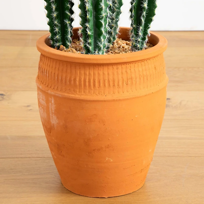3ft. Cactus in Terracotta Planter
