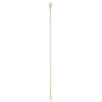 7.5" Gold Anklet Charm Bracelet by Bead Landing™