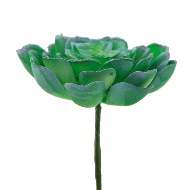 Flora Bunda® Large Echeveria Powder Succulent Pick, 6ct.