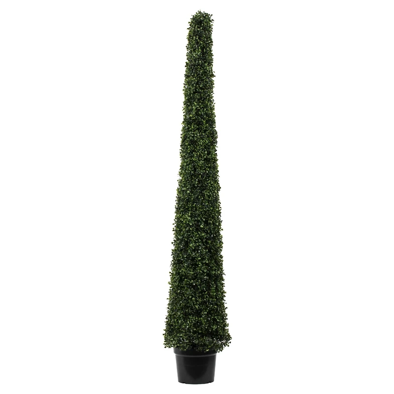 6ft. Potted Boxwood Cone Tree