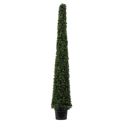 6ft. Potted Boxwood Cone Tree