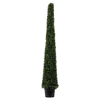 6ft. Potted Boxwood Cone Tree