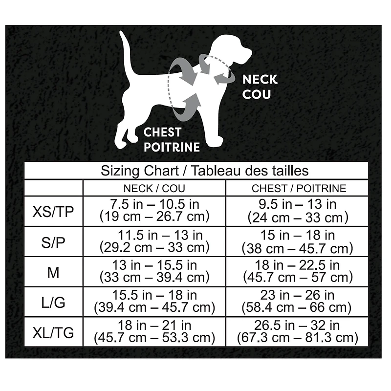 Witch Dog Costume by Ashland®