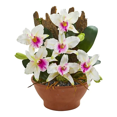 15" Cattleya Orchid Arrangement in Clay Vase