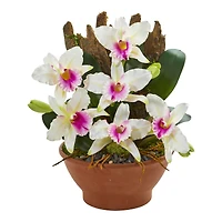15" Cattleya Orchid Arrangement in Clay Vase