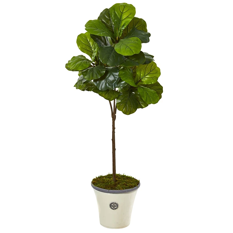 5ft. Fiddle Leaf Tree in Planter
