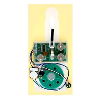 Card Making Recordable Sound Kit by Recollections™