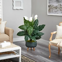 4ft. Peace Lily Plant in Black Planter with Stand