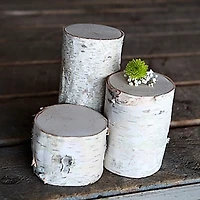 Wilson® Enterprises Birch Pillar Set