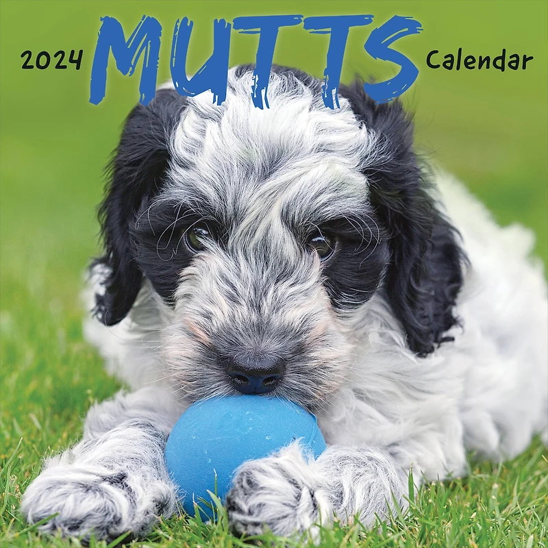 TF Publishing 2024 Mutts Wall Calendar