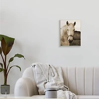 Stupell Industries Rustic Sepia tone Portrait of White Horse Wall Plaque