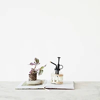 Hello Honey® 6.75" Glass Plant Mister with Natural Woven Sleeve