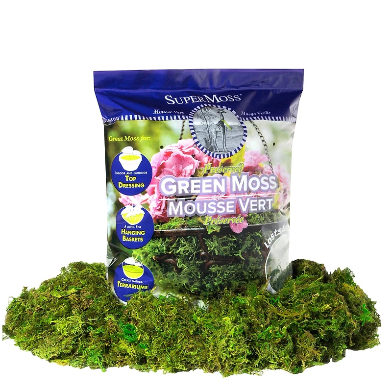 12 Pack: SuperMoss® Preserved Green Moss