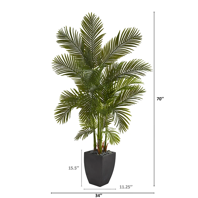 5.5ft. Areca Palm Tree in Black Planter