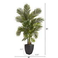 5.5ft. Areca Palm Tree in Black Planter