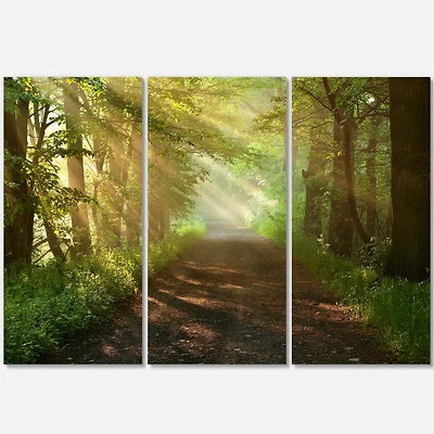 Designart - Suns Peeks into Forest