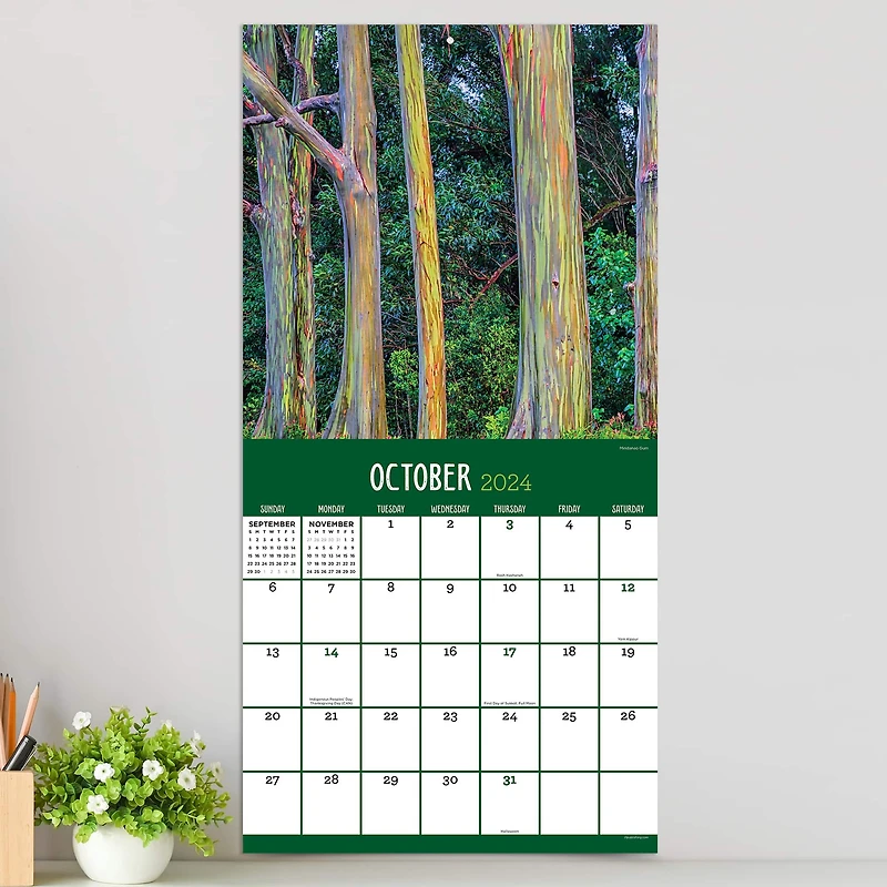 TF Publishing 2024 Trees Wall Calendar