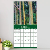 TF Publishing 2024 Trees Wall Calendar