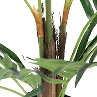 6ft. Potted Fern Palm with Real Touch Leaves