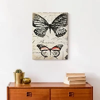 Double Butterfly 12" x 16" Canvas Wall Art