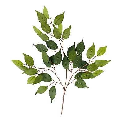 23" Ficus Spray Floral Essentials by Ashland®