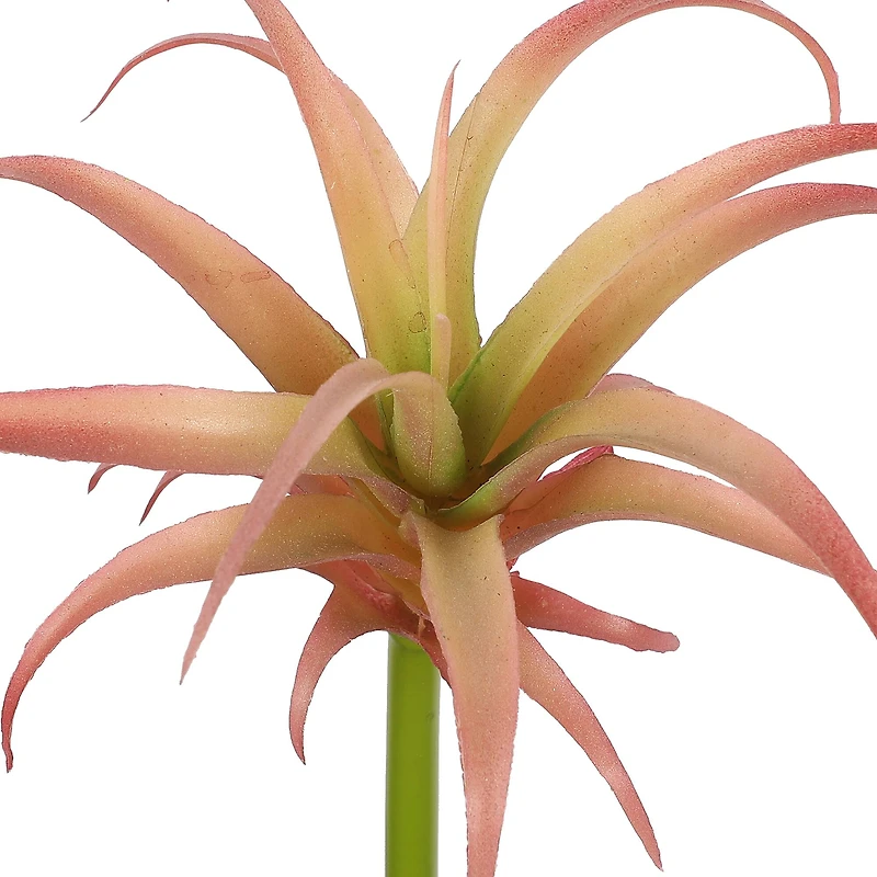 Assorted 7" Tillandsia Pick by Ashland®