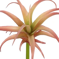 Assorted 7" Tillandsia Pick by Ashland®