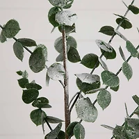 40" Green Eucalyptus Stems, 3ct.