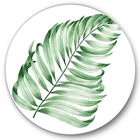 Designart - Tropical Leaf Of Monstera II