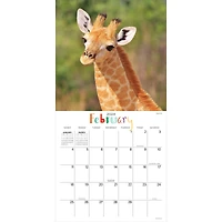 TF Publishing 2024 Baby Animals Wall Calendar