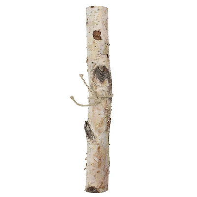 16" Birch Log by Ashland®