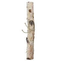 16" Birch Log by Ashland®