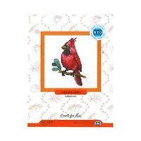 RTO Cardinal Bird Cross Stitch kit