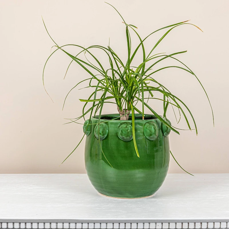 Hello Honey® 10.5" Green Raised Dots Terra Cotta Planter