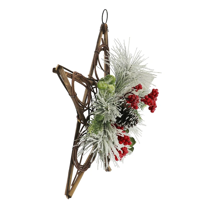 15" Snowy Pine with Red Berry & Pinecone Grapevine Star by Ashland®