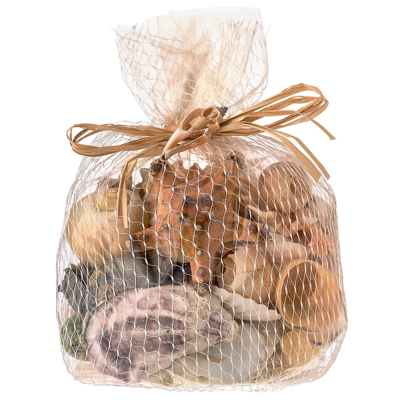 U.S. Shell Dark Shell Mix with Starfish Gift Pack