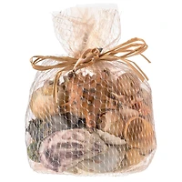 U.S. Shell Dark Shell Mix with Starfish Gift Pack