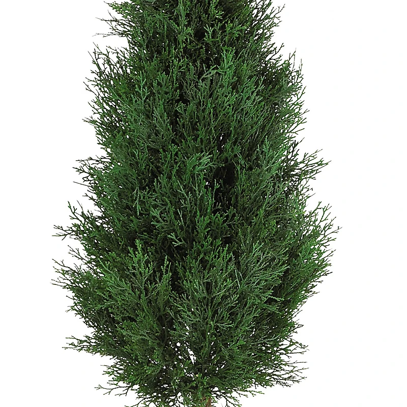 5ft. Potted Cypress Ball & Cone Tree