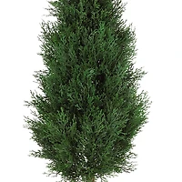 5ft. Potted Cypress Ball & Cone Tree