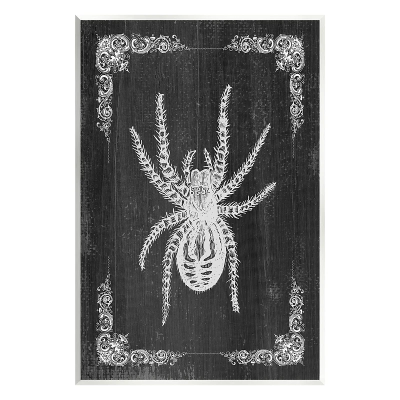 Stupell Industries Black & White Spider Wall Plaque Art