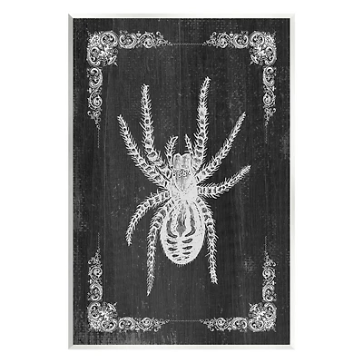 Stupell Industries Black & White Spider Wall Plaque Art