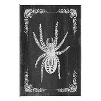 Stupell Industries Black & White Spider Wall Plaque Art