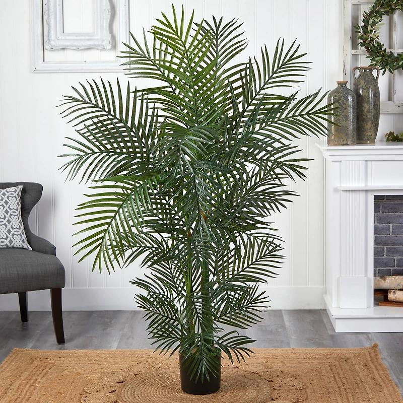 4.5ft. Potted Areca Palm