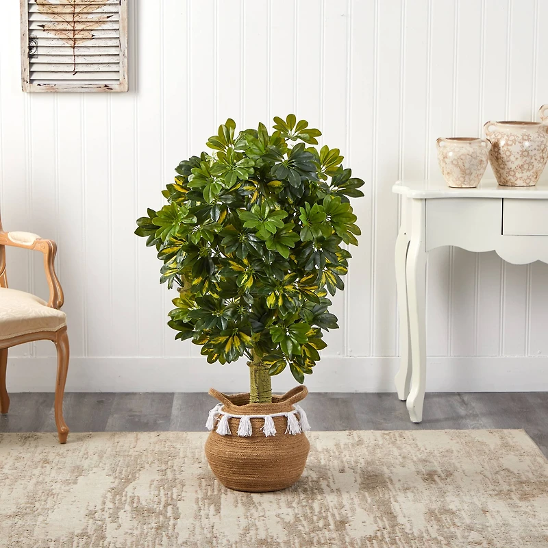 4ft. Schefflera Artificial Tree in Boho Chic Handmade Natural Cotton Woven Planter with Tassels (Real Touch)