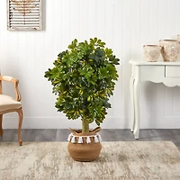 4ft. Schefflera Artificial Tree in Boho Chic Handmade Natural Cotton Woven Planter with Tassels (Real Touch)