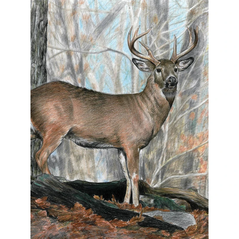 Royal & Langnickel® Whitetail Buck Colour Pencil™ by Number Kit